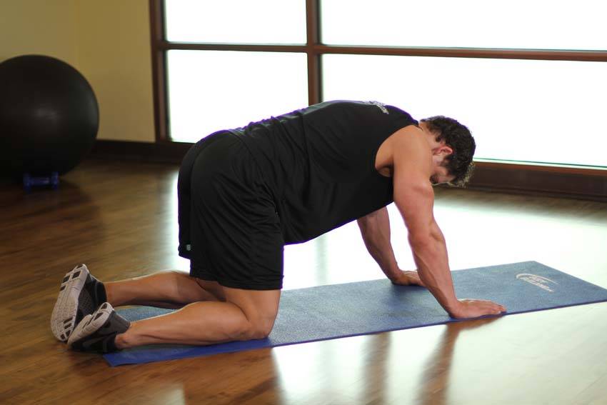 All Fours Quad Stretch demonstration