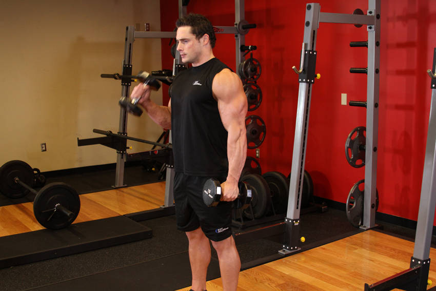 Alternate Hammer Curl demonstration frame 1