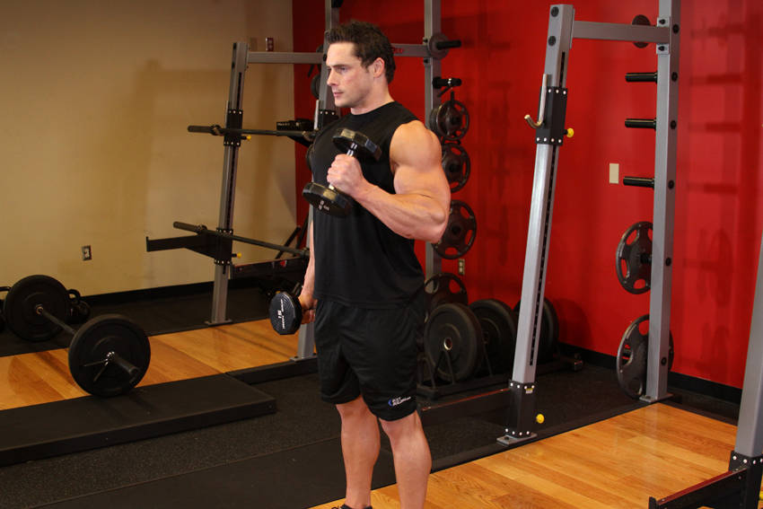 Alternate Hammer Curl demonstration frame 2