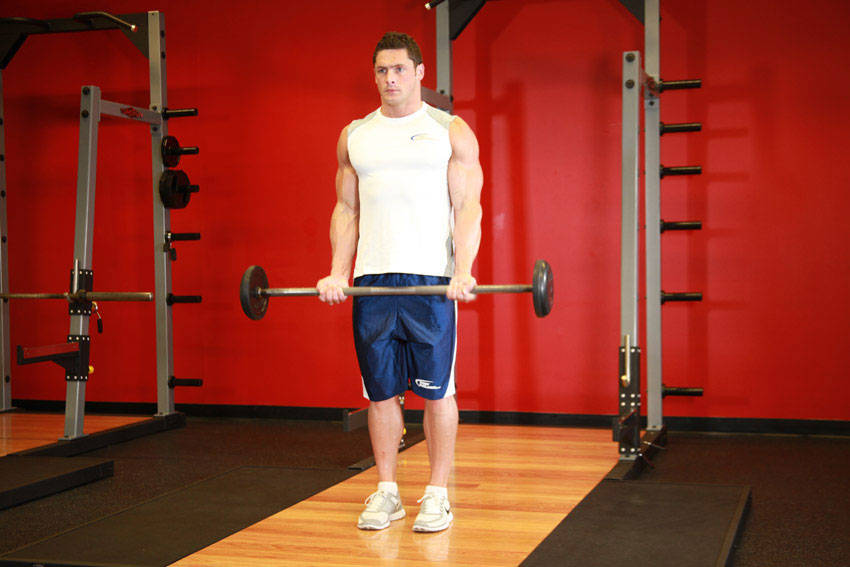 Barbell Curl demonstration frame 1