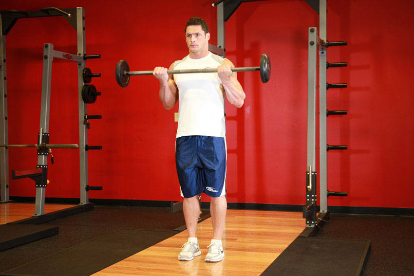 Barbell Curl demonstration frame 2