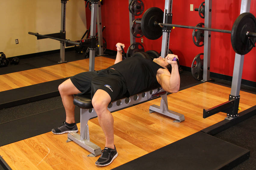 Bench Press - With Bands demonstration