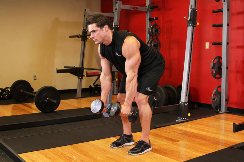 Bent Over Two-Dumbbell Row demonstration