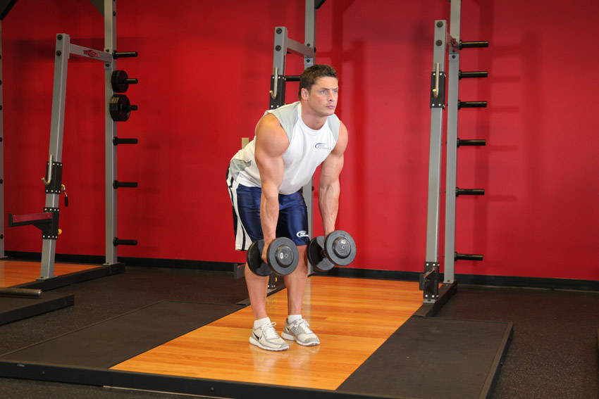Bent Over Two-Dumbbell Row With Palms In demonstration
