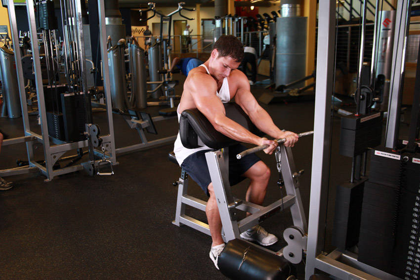 Cable Preacher Curl demo photo
