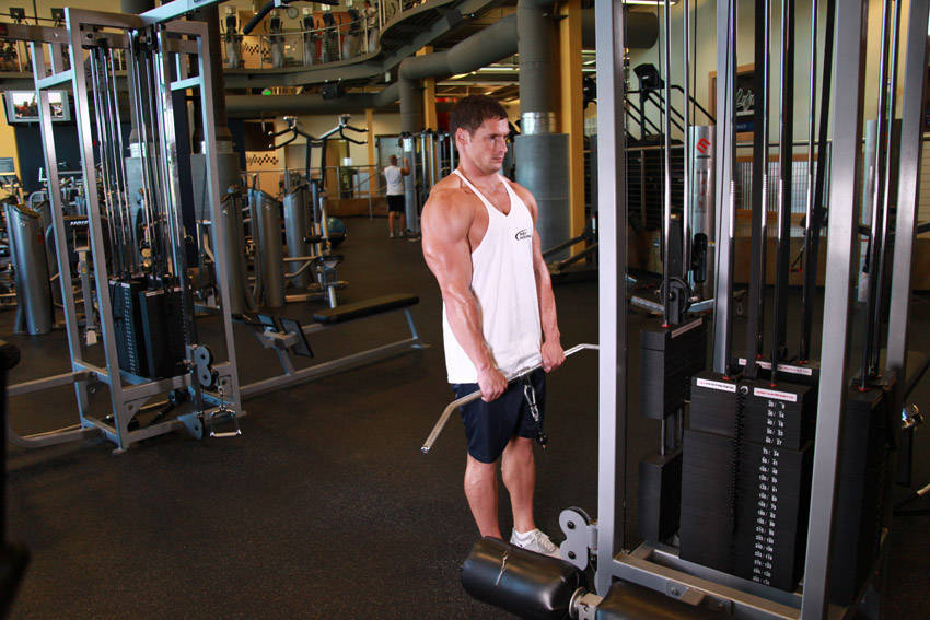 Cable Shrugs demo photo