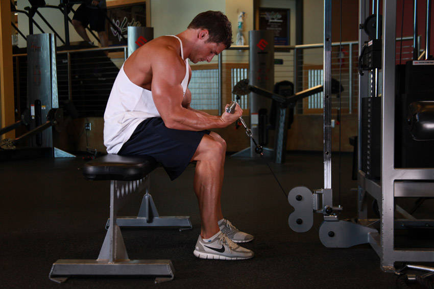 Cable Wrist Curl demonstration frame 2