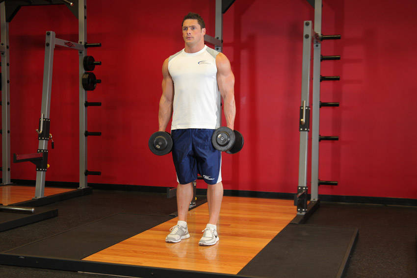 Dumbbell Rear Lunge demonstration