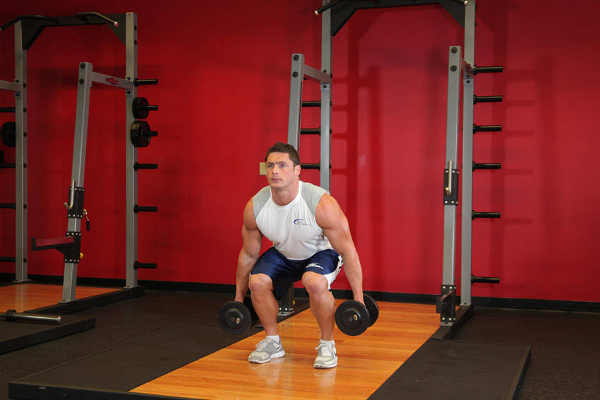 Dumbbell Squat demonstration frame 2