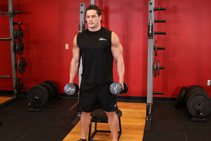 Dumbbell Squat To A Bench demonstration
