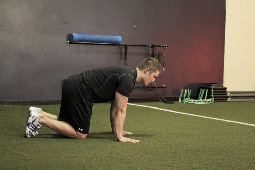 Hip Circles (prone) demonstration