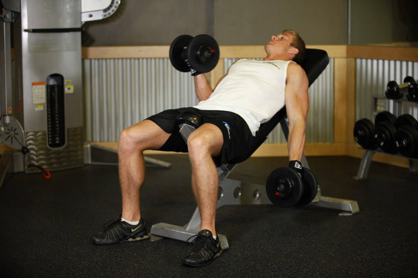 Incline Dumbbell Curl demo photo