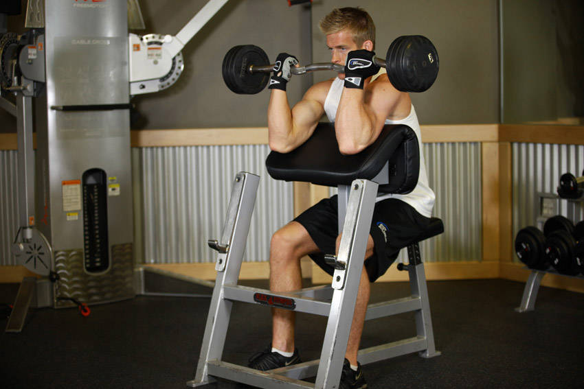 Preacher Curl demonstration frame 2