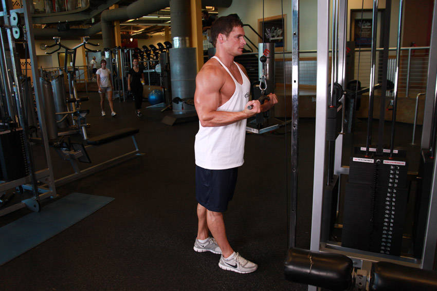 Reverse Grip Triceps Pushdown demonstration