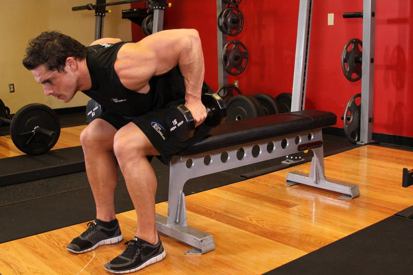 Seated Bent-Over Two-Arm Dumbbell Triceps Extension demonstration