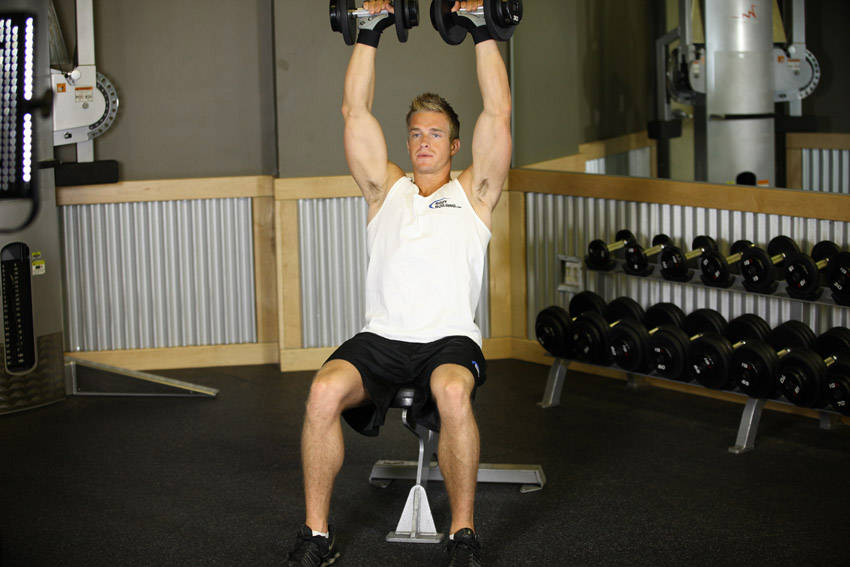 Seated Dumbbell Press demonstration frame 1