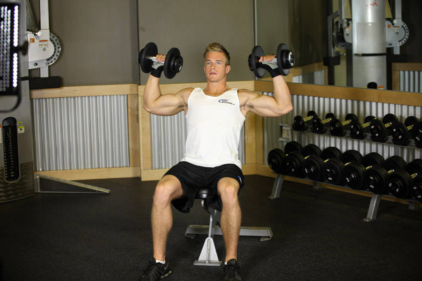 Seated Dumbbell Press demonstration frame 2