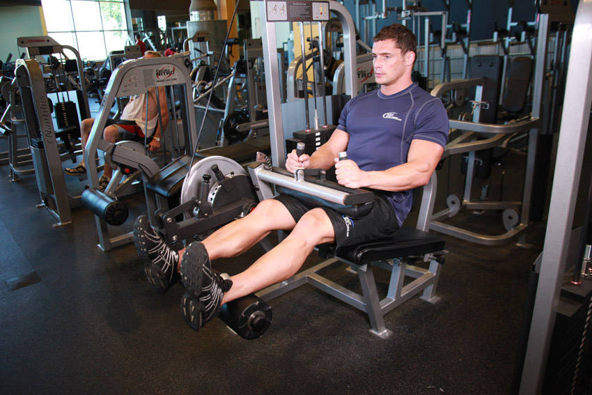 Seated Leg Curl demo photo